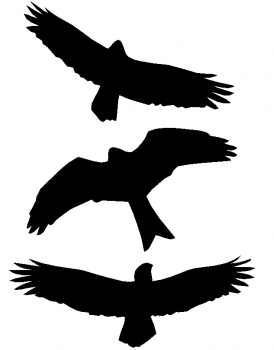 Aufkleber Vogelschutz